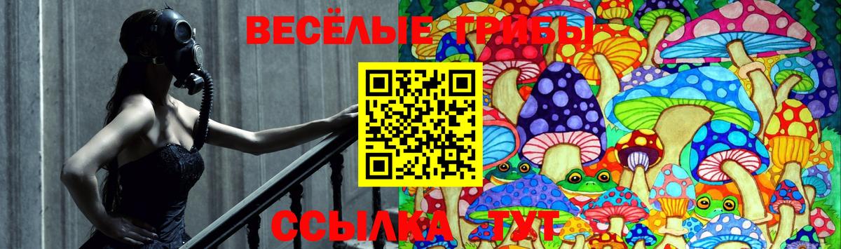Псилоцибиновые грибы Psilocybine cubensis Владикавказ